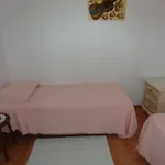 Daire Butinar Pri Kapitanu