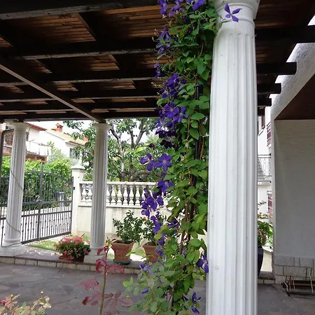 Butinar Pri Kapitanu Apartament
