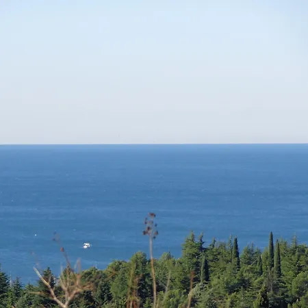 Butinar Pri Kapitanu