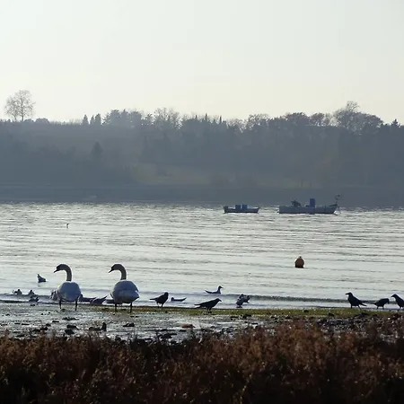 Butinar Pri Kapitanu