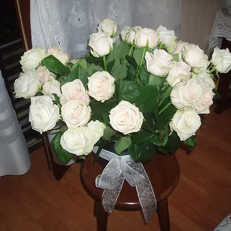 Apartmán Butinar Pri Kapitanu *