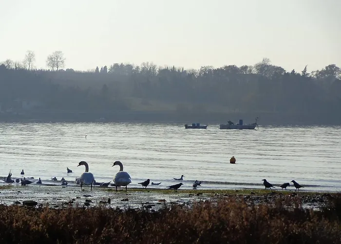 Butinar Pri Kapitanu