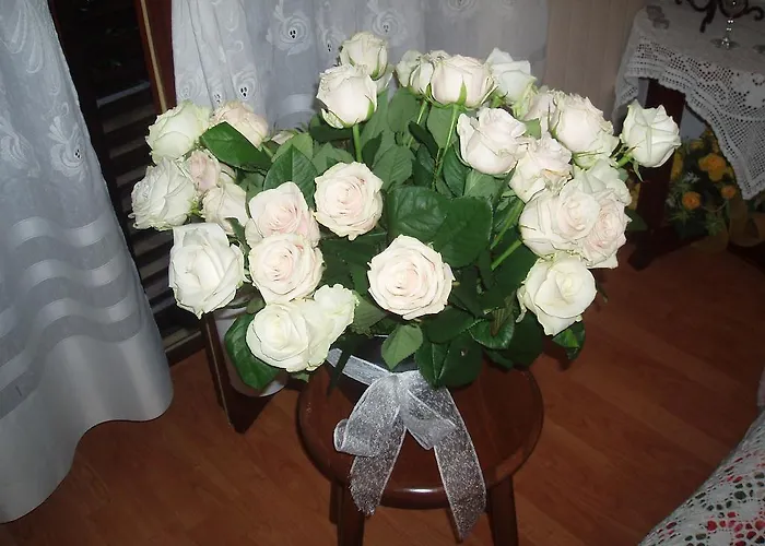 Apartment Butinar Pri Kapitanu *