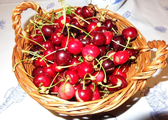 Butinar Pri Kapitanu شقة أنكاران